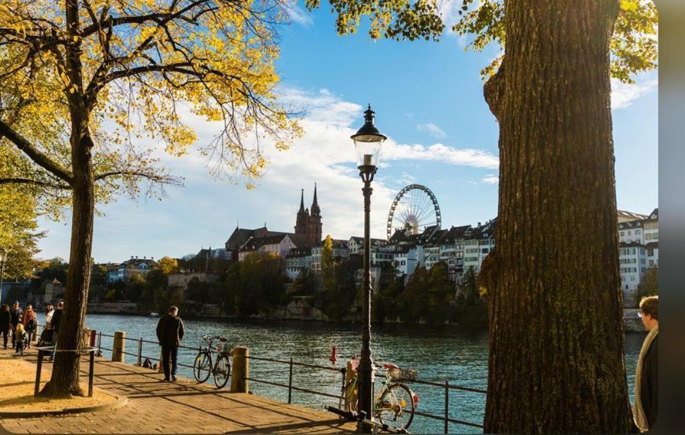 バーゼルSchweizアパートメント エクステリア 写真